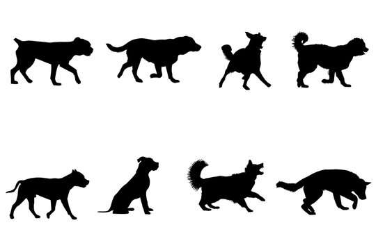 Silhouettes of dogs on white background