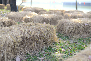 Outdoor field seating made from dry straw