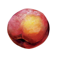 Obraz premium peach drawing on white background