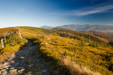 Widok szczytów z górskiego szlaku w Beskidach w słoneczny dzień © Sebastian