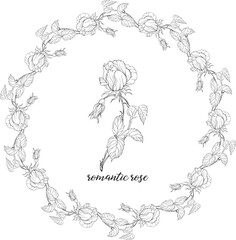 Vector set of flower compositions with rose flowers. Floral wreath. Rose. 1