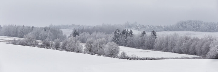 Panorama of winter forest covered by clouds. December fog on hills. Misty fall woodland. Snowstorm. Snowy fir, pine trees. Cold wind overcast weather. - 553550225