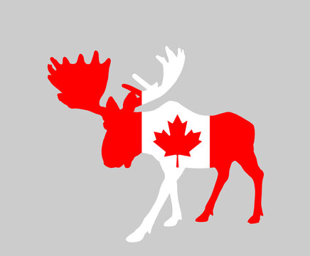Patriotic emblem Canada flag over Moose deer vector silhouette illustration isolated on white background. Elk buck powerful deer antlers. Canadian national symbol. Souvenir mascot North America state.