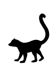 Lemur monkey vector silhouette illustration isolated on white background. Funny animal. Ring tail lemur symbol. Africa Madagascar exotic monkey shape shadow.