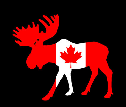 Patriotic emblem Canada flag over Moose deer vector silhouette illustration isolated on black background. Elk buck powerful deer antlers. Canadian national symbol. Souvenir mascot North America state.