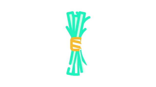 spirulina natural food color icon animation