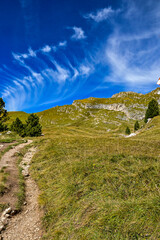 Almwiese mit Berge und Wanderwege auf Col Raiser mit Blick auf die Berge in den Dolomiten, in Santa Cristina, Valgardena, Bozen, Südtirol Italien	
