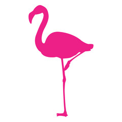 Silueta aislada de flamingo