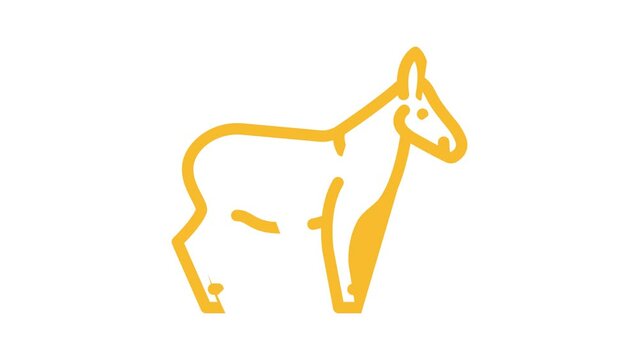 donkey animal color icon animation