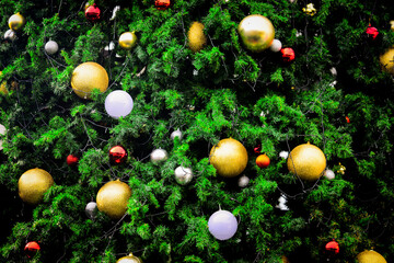Obraz na płótnie Canvas Background for Christmas season. Close-up shot of a beautiful decorated fir tree.