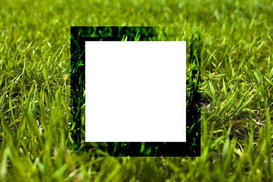 empty summer frame on green grass background, lawn with copy space 3d render
