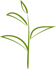 Naklejka premium Branch of leaves