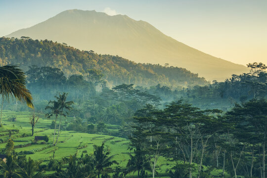 Sunrise at Sideman Rice Terraces; Bali, Indonesia