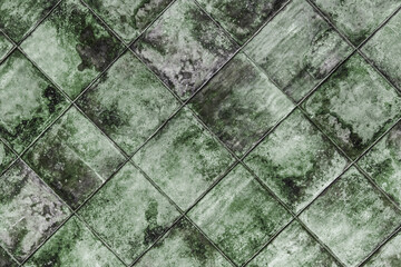 Obraz premium Mold texture tile fungus old green dirty background wall lichen grunge mildew surface
