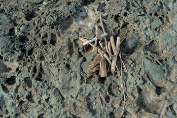 Peeled sticks thrown from the sea, stacked on stones of volcanic origin