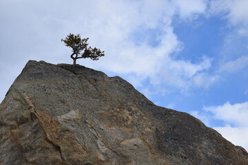 Fototapeta premium silhouette of a rock