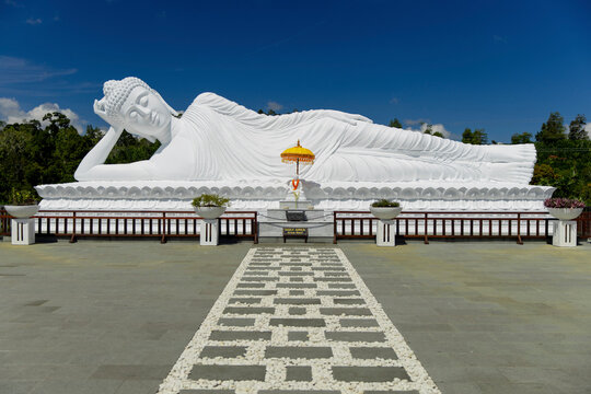 White sleeping buddha statue in a reclining pose with trees in the background, Vihara Dharma Giri Temple; Tabanan, Bali, Indonesia