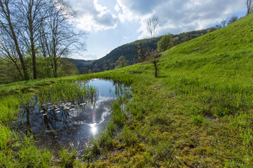 Landschaft in Baden Württemberg in Braunsbach bei Schwäbisch Hall, Ein kleiner Teich hat sich nach einem Regenschauer gebildet