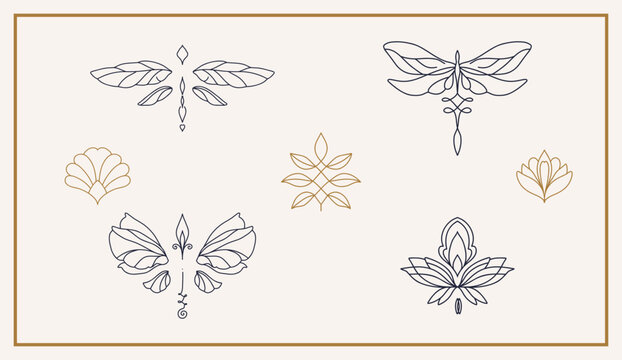 linear template logo symbols with luxury dragonfly on a nude background
