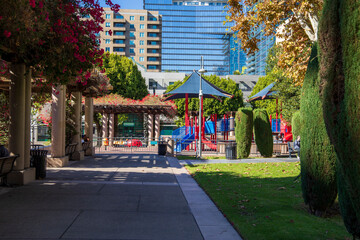 a playground with a red and blue jungle gym, a pergola covered in red flowers and lush green leaves...