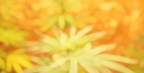 Obraz premium abstract image of green Cannabis leaf with yellow light blurred