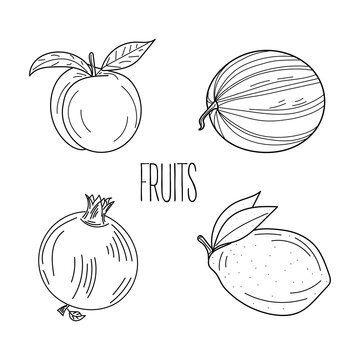 Set of linear fruits. hand drawn peach, watermelon, lemon, pomegranate. Isolated fruits linear style. vector illustration