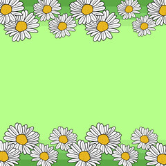 Chamomile flower frame. Frame with flowers of chamomile on green background. Floral design with chamomiles. Flat illustration of flowers. vector illustration