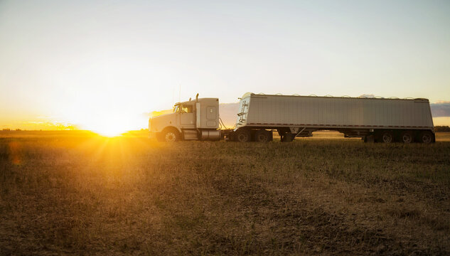 A grain transport truck sitting in a Canola field at sunset waiting for its next load; Legal, Alberta, Canada