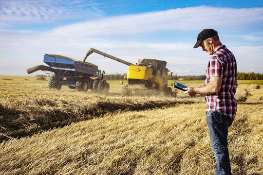 A farmer using his tablet to help manage the wheat harvest while a combine is offloading a full load of grain to a grain buggy: Alcomdale, Alberta, Canada