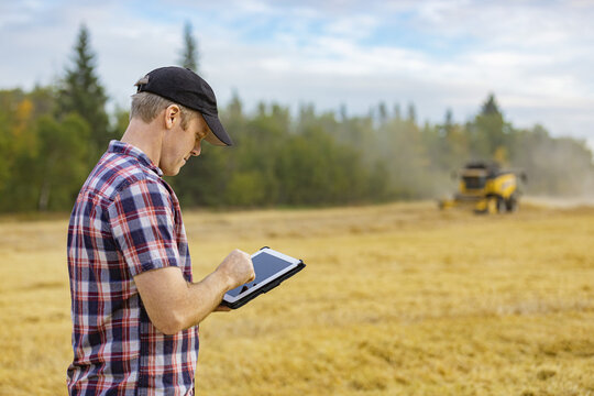A farmer using his tablet to help manage the wheat harvest while a combine is working in the background: Alcomdale, Alberta, Canada