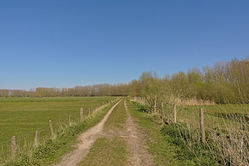 Fototapeta na wymiar Dirtroad along fenced meadows in Scheldt valley ature reserve near Ghent, Flanders, Belgium on a sunny spring day with clear blue sky 