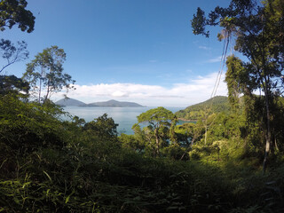 Green forest with sea and mountains in the background