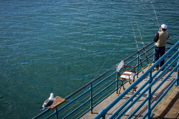 Fototapeta premium Fishing