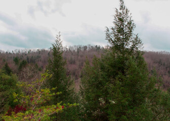 Fototapeta premium autumn in the mountains
