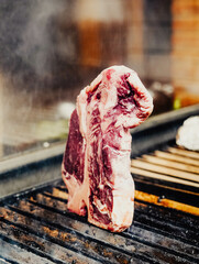 Exquisitos cortes de carne de ternera en un asador argentino