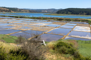 Salinas de Cáhuil and Laguna Cáhuil (Pichilemu) - Chile