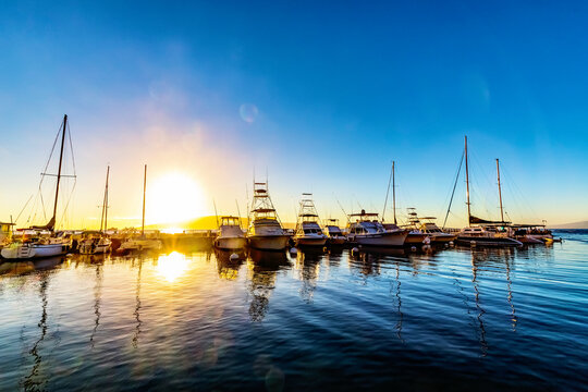 Yachts and sailboats moored in a harbor in Lahaina with the golden sun setting behind; Lahaina, Maui, Hawaii, United States of America
