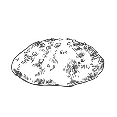 Hand drawn vector German gingerbread illustration. Sweet  nurnberger elisen lebkuchen. Traditional Christmas sweet dessert. Honey nut glazed cookies. Template for menu, design, ad