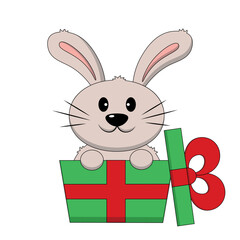 Cute Rabbit in gift box. Draw illustration in color