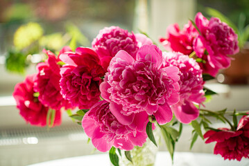 nice peonies in the vase