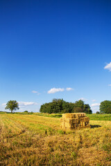 Rectangle shaped bales of straw on farmland with blue beautiful sky, harvesting. Summer sunset, warm light.