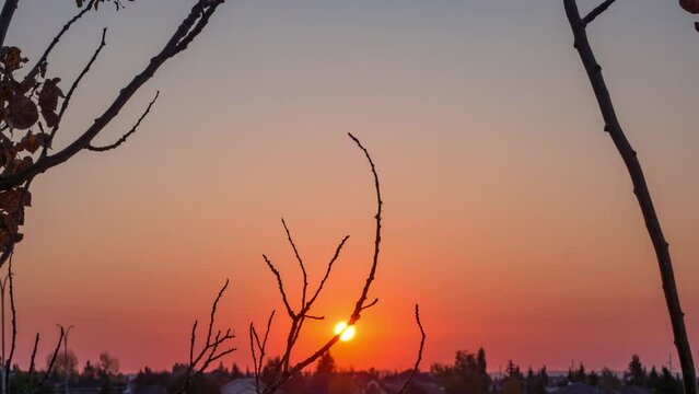 Time-lapse 4k Perfect vibrant red round sun. colorful clear sky morning landscape. the sun moves through dy tree stemp. Warm sun winter time atmosphere. Cold temperature in the air. Sunrise footage