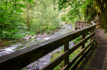 Sweet Creek Walkway