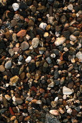 sea ​​stones on the ocean shore top view close-up