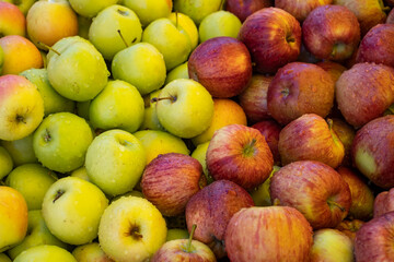 Variety of apples of different sorts in modern hypermarket