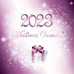 2023 – Meilleurs vœux – Happy New Year - 553586050