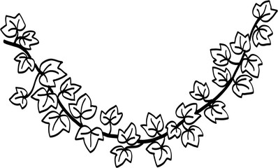 Fototapeta premium Simplicity ivy freehand drawing 
