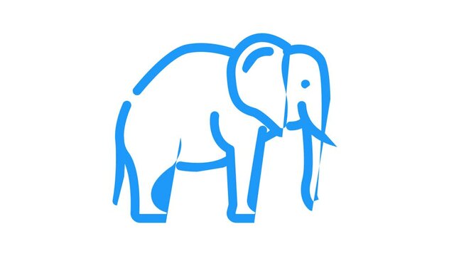 elephant animal color icon animation