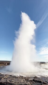 Eruption of a geyser in Iceland. Vertical video.