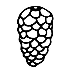 Pine cone doodle style vector illustration isolated on white background.